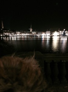 0104fietealster