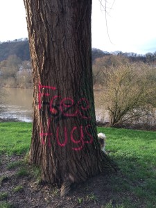 0107freehugs