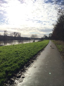 0108mosel