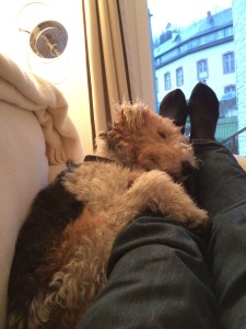 0109fietesofa