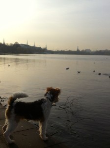 131223 fiete an der alster