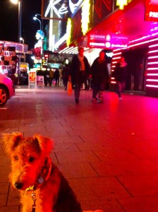 12.12.11 Fiete auf der Reeperbahn.
