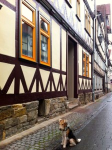 fiete in hann. münden