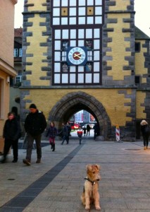 Fiete in Reutlingen